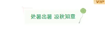 还在为贴秋膘排版发愁?2026公众号素材与样式推荐,一招搞定食欲感推文 4 样式ID:117011 二十四节气处暑极简清新图片标题