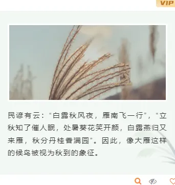 样式ID：117535 二十四节气白露简约绿色上下图文