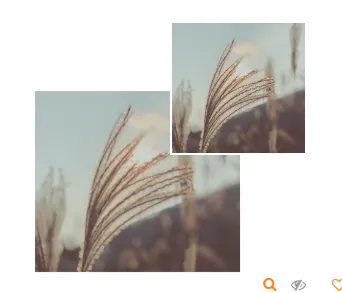 样式ID：117537 二十四节气白露简约绿色双图