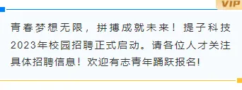 样式ID：123011 春季企业招聘商务极简边框内容