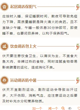 样式ID：129835 三伏天养生中国风简约段落文字