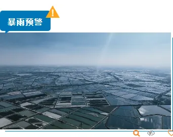 样式ID：130822 气象台风暴雨预警简约蓝色单图