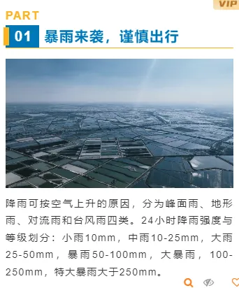 北上台风推文怎么排?2026公众号排版样式素材一站搞定 9 样式ID:130824 气象台风暴雨预警简约蓝色上下图文