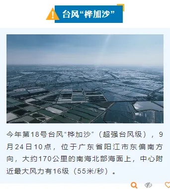 样式ID：130825 气象台风暴雨预警简约蓝色上下图文