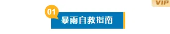 样式ID：130841 气象台风暴雨预警简约蓝色编号标题