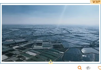 台风防御公众号排版素材免费获取|2026最新样式一键套用 13 样式ID:130915 台风暴雨预警简约蓝色单图