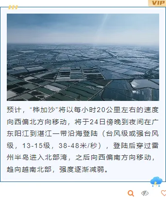 台风防御公众号排版素材免费获取|2026最新样式一键套用 8 样式ID:130916 台风暴雨预警简约蓝色上下图文