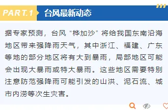 台风防御公众号排版素材免费获取|2026最新样式一键套用 5 样式ID:130924 台风暴雨预警简约蓝色底色内容