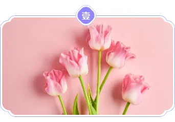 2026七夕营销公众号排版怎么做?精选样式素材与模板推荐 10 样式ID:131259 浪漫七夕节简约古风单图