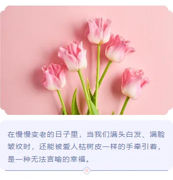 七夕营销公众号编辑必看|2026传统节日排版样式与模板大全 13 样式ID:131271 浪漫七夕节简约古风上下图文