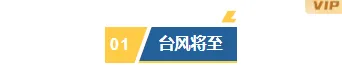 样式ID：145052 极端天气暴雨预警编号标题简约蓝色样式