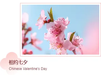 七夕营销公众号编辑必看|2026传统节日排版样式与模板大全 14 样式ID:146418 七夕节单图中国风粉色样式