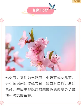还在为七夕公众号排版发愁?2026这些样式与模板让推文惊艳全场 15 样式ID:146420 七夕节上下图文中国风粉色样式
