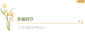 还在为贴秋膘排版发愁?2026公众号素材与样式推荐,一招搞定食欲感推文 13 样式ID:146996 二十四节气处暑图片标题简约绿色样式