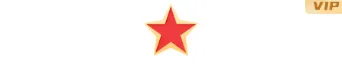样式ID：157893 全民国家安全教育日五角星小图标简约红色样式