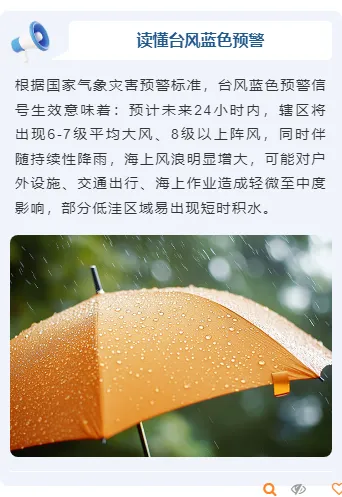 样式ID：161055 夏季极端天气预警上下图文简约蓝色样式