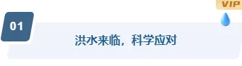 样式ID：161062 夏季极端天气预警编号标题简约蓝色样式
