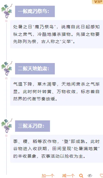 2026处暑文旅推文排版不发愁,这些样式模板一键套用超省力 7 样式ID:163027 处暑节气段落正文简约紫色样式
