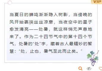 2026处暑养生公众号排版素材推荐:10款爆款样式+5套精选模板 8 样式ID:163028 处暑节气边框内容简约紫色样式