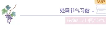 2026处暑公众号排版素材与样式推荐|运营必看,一键套用节气模板 1 样式ID:163038 处暑节气主副标题简约紫色样式
