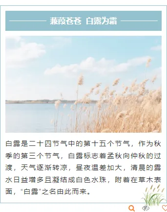 样式ID：163574 白露节气上下图文简约清新绿色样式
