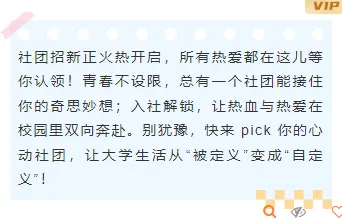 2026社团招新公众号排版素材:10款爆款样式+3套精选模板 7 样式ID:163799 社团招新底色内容简约蓝色样式
