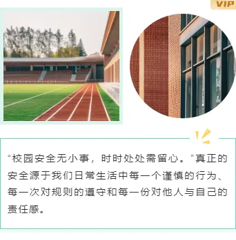 样式ID：165917 校园安全教育上下图文简约绿色样式
