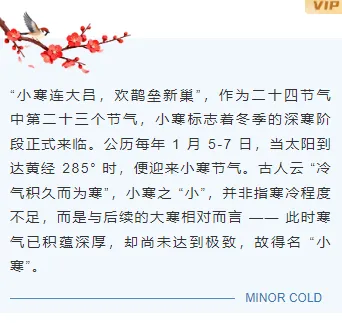 样式ID：167848 小寒节气底色内容蓝色清新中国风样式