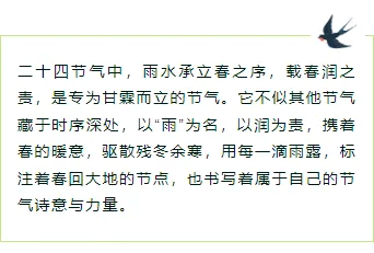 样式ID：169285 雨水节气边框内容绿色简约样式