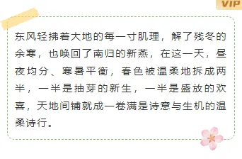 样式ID：170357 春分节气边框内容绿色清新样式