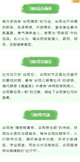 样式ID：171591 谷雨二十四节气之一段落正文清新绿色样式