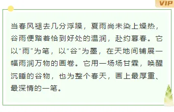 样式ID：171594 谷雨二十四节气之一边框内容清新绿色样式