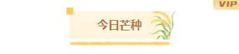 样式ID：173310 芒种节气图片标题清新简约黄色样式