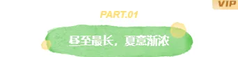 样式ID：174031 夏至节气编号标题清新绿色样式