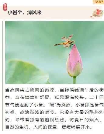 样式ID：174577 小暑节气上下图文古风绿色样式