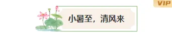 样式ID：174585 小暑节气图片标题古风绿色样式