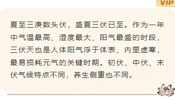 样式ID：174929 三伏养生底色内容古风棕色样式