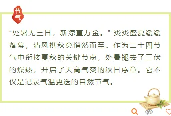 还在为贴秋膘排版发愁?2026公众号素材与样式推荐,一招搞定食欲感推文 7 样式ID:176433 处暑节气底色内容清新绿色黄色样式