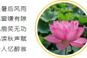 2026处暑文旅推文排版不发愁，这些样式模板一键套用超省力