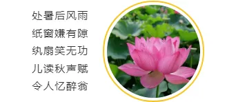 还在为贴秋膘排版发愁?2026公众号素材与样式推荐,一招搞定食欲感推文 9 样式ID:93464 小清新左右图文处暑诗歌格式圆图