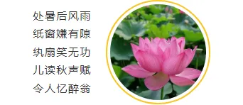 2026处暑文旅推文排版不发愁,这些样式模板一键套用超省力 12 样式ID:93464 小清新左右图文处暑诗歌格式圆图