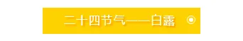 样式ID：93552 白露底色文字效果符号标题