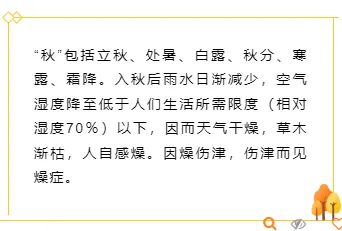 2026处暑公众号排版素材与样式推荐|运营必看,一键套用节气模板 7 样式ID:99563 黄色小树菱形几何形状秋天秋季二十四节气处暑边框正文