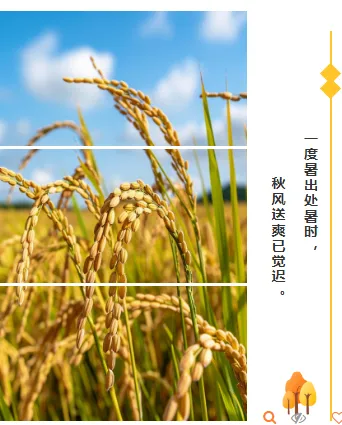 2026处暑文旅推文排版不发愁,这些样式模板一键套用超省力 8 样式ID:99567 黄色菱形几何形状线条秋天秋季二十四节气处暑三图图片介绍