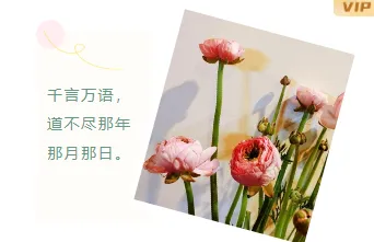 样式ID：105834 教师节感恩老师清新可爱左右旋转图文