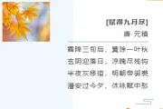霜降饮食公众号排版怎么做？这些暖色样式素材让推文收藏率翻倍