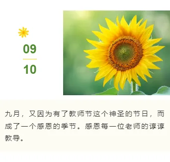 样式ID：117450 教师节致谢师恩简约清新上下图文