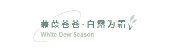 运营必看|2026白露养生公众号排版节气推文排版全攻略 3 样式ID:117550 二十四节气白露简约绿色图片标题