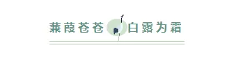 样式ID：117552 二十四节气白露简约绿色图片标题