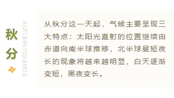 样式ID：118172 二十四节气秋分简约文艺底色内容